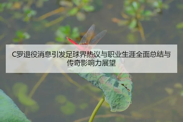 luo-tui-yi-xiao-xi-yin-fa-zu-qiu-jie-re-yi-yu-zhi-ye-sheng-ya-quan-mian-zong-jie-yu-chuan-qi-ying-xiang-li-zhan-wang-2-319.jpg